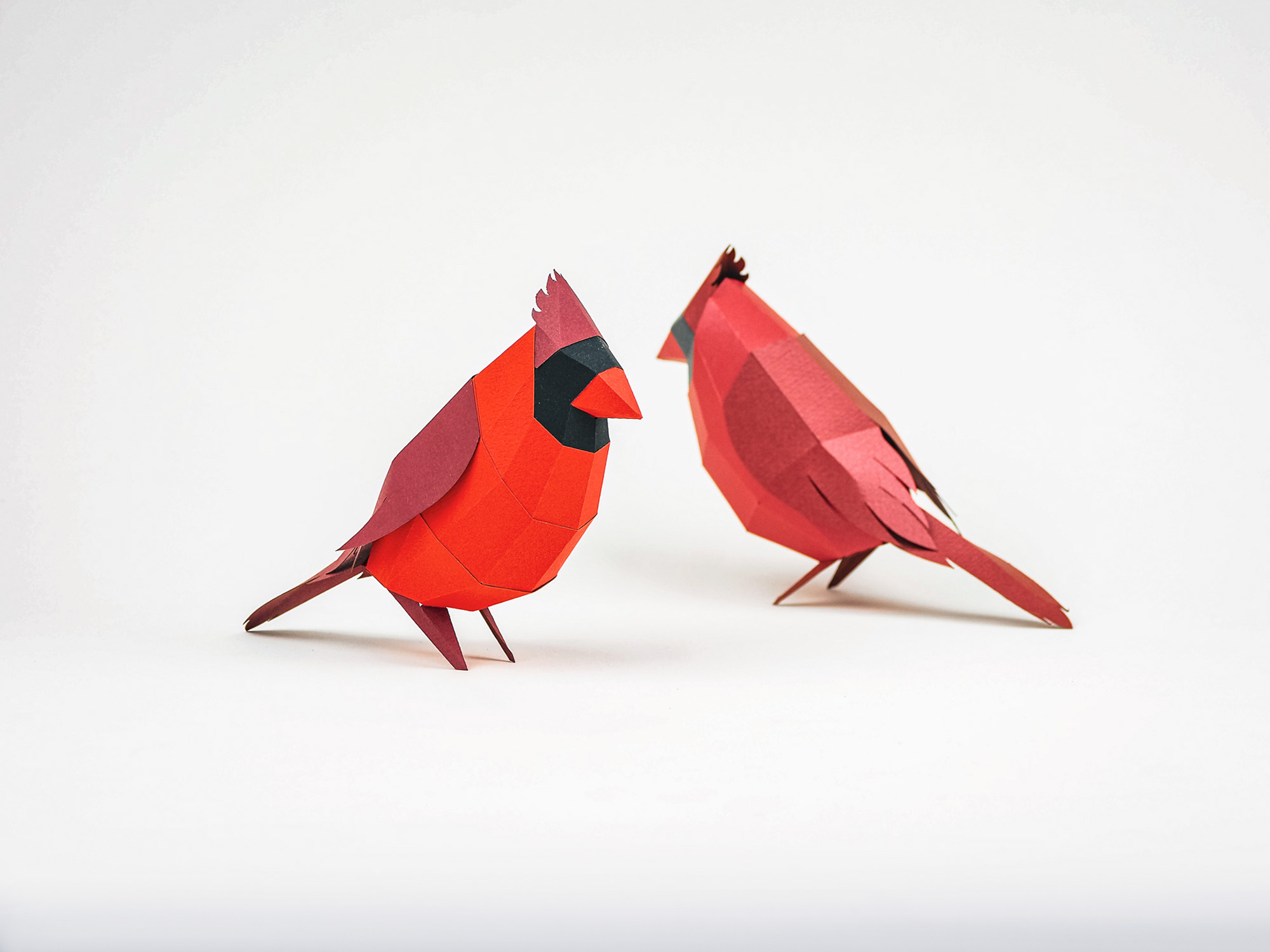 Red Bird paper sculture. DIY papercraft template. - Image 6
