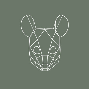 Masks