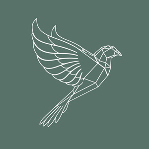 Geometric dove by smagaPaperwood