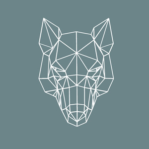 Geometric wolf shape
